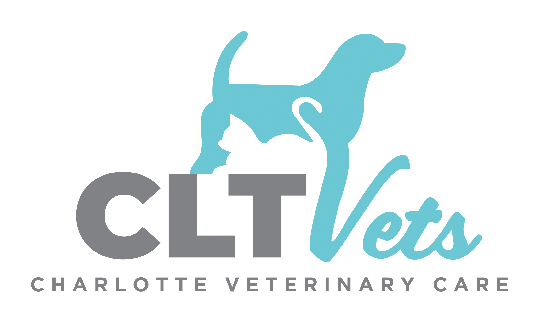 CLT Vets Logo
